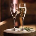 1137768135-komplet-dwoch-kieliszkow-do-szampana-wina-musujacego-120ml-toys-delight-villeroy-boch-2