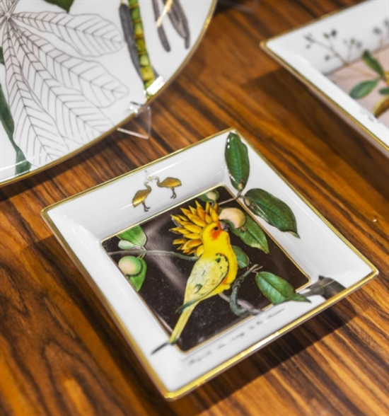 21133617-paterka-12x12cm-amazonia-vista-alegre-2