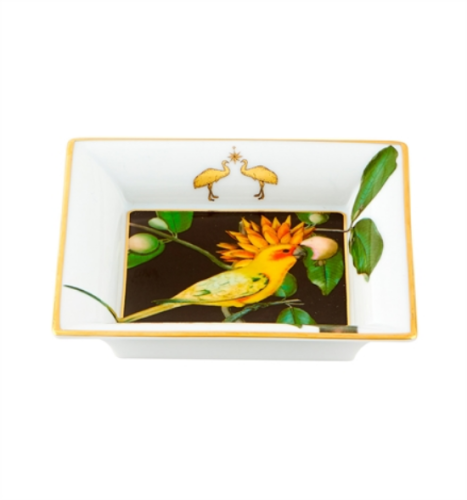 21133617-paterka-12x12cm-amazonia-vista-alegre