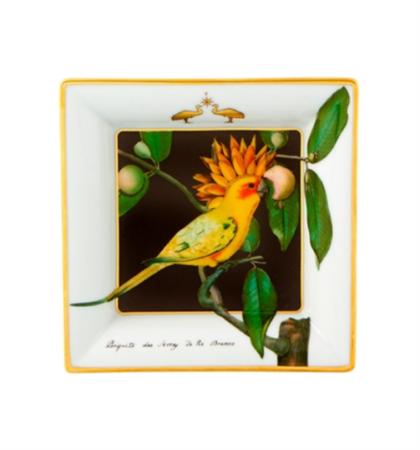 21133617-paterka-12x12cm-amazonia-vista-alegre-1