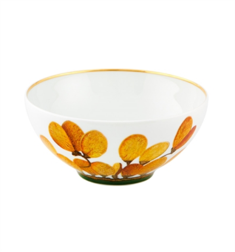 21133555-miseczka-musli-774ml-amazonia-vista-alegre