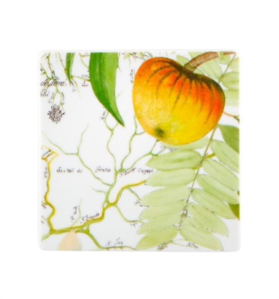 21133686-zestaw-4-porcelanowych-podstawek-amazonia-vista-alegre-4